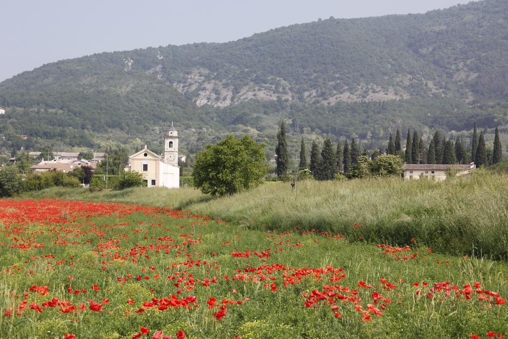 Agriturismo Corte Dei Fiori คาปริโน เวโรเนเซ ภายนอก รูปภาพ